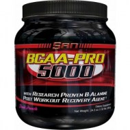 BCAA PRO 5000 POST WORKOUT 690 GRAMOS