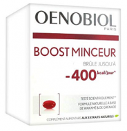 BOOST MINCEUR 90 CAPS