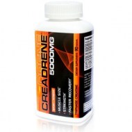 Creadrene 90 capsulas de Newton Everett, 5000 mg