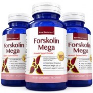 FORSKOLIN MEGA QUEMADOR DE GRASA (90 CAPSULAS)