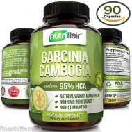 GARCINIA CAMBOGIA EXTRACT 95 HCA 90 CAPS