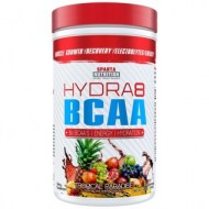 HYDRA8 BCAA 480 GRAMOS