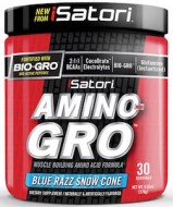 ISATORI AMINO GRO 270G