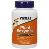 PLANT ENZYMES - SUPLEMENTO VEGETARIANO PARA LA DIGESTION (120 CA