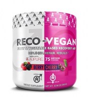 RECO VEGAN POST WORKOUT RECOVERY 300 GRAMOS