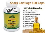 SHARK CARTILAGE 100 CAPS