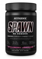 SPAWN PRE WORKOUT 325 GRAMOS