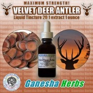 VELVET DEER ANTLER 30ML AUMENTADOR DE TESTOSTERONA